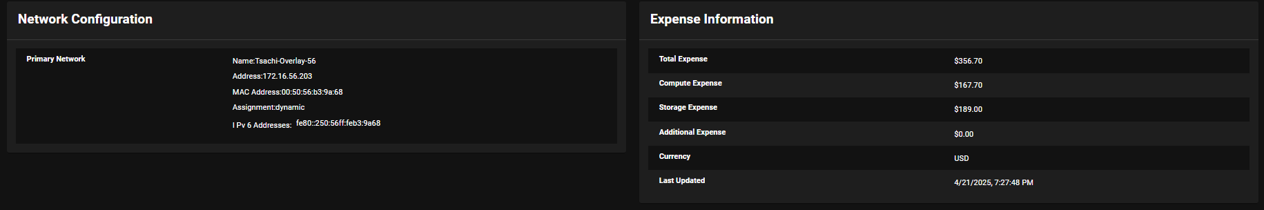 vSphere VM Details 2